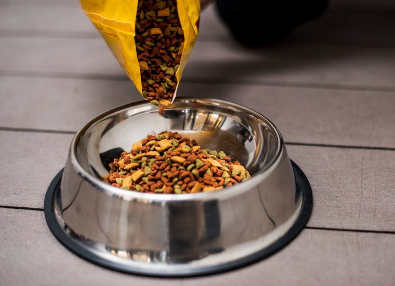 Dry cat food: pet health and joy